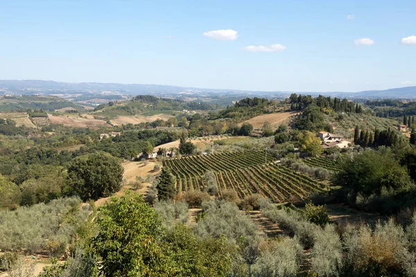 Gyönyörű Kilátás Nyílik Szőlő Chianti Régióban Tuscany Olaszország — Stock Fotó