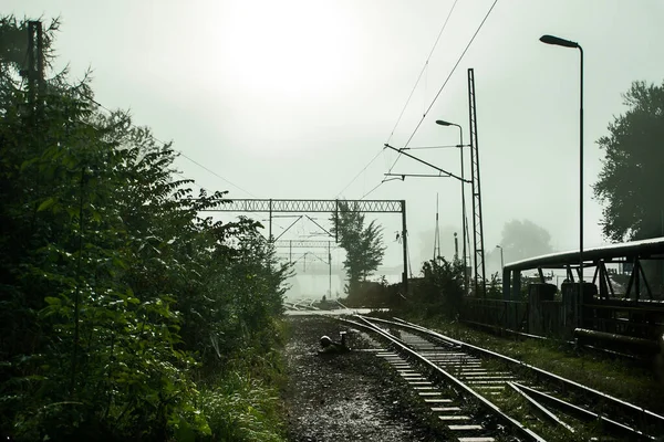 Yoldaki Demiryolu Rayları — Stok fotoğraf