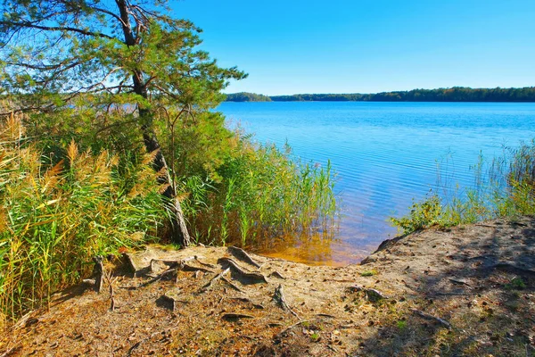 Hermoso Paisaje Con Lago Fondo —  Fotos de Stock