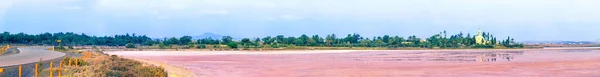 以Hala Sultan Tekke清真寺为背景的Aliki盐湖全景 一个受欢迎的旅游胜地 塞浦路斯拉纳卡 — 图库照片