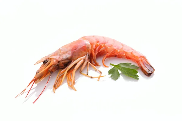 孤立在白色背景上的熟的龙虾 — 图库照片