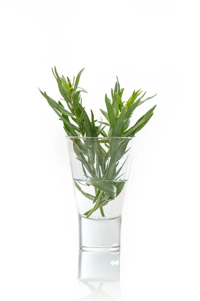 Tarragon Glass Water White Isolated — Stock Photo, Image