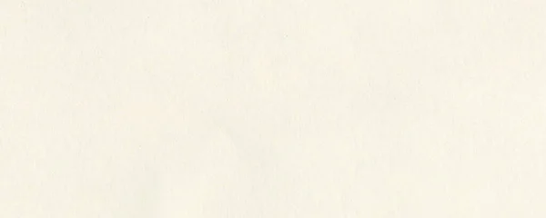 Фон Текстури Білого Дерева Абстрактний Візерунок — стокове фото