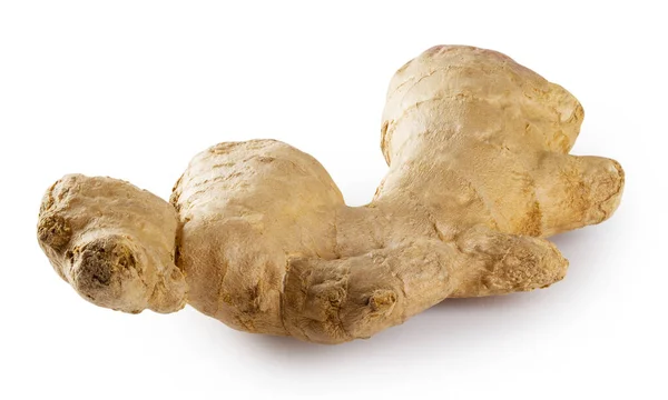 Ginger Root Isolated White Background — Stock Photo, Image