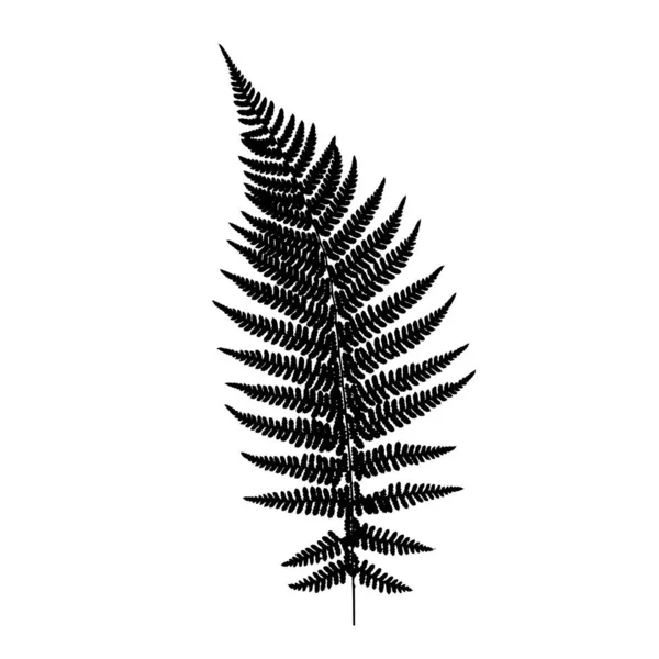 Vektorillustration Eines Pflanzensymbols — Stockfoto