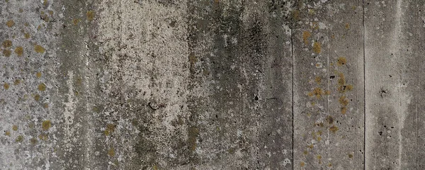 Eski Ahşap Duvar Doku — Stok fotoğraf