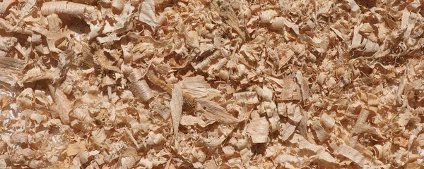 木屑木材粉尘副产品或木工作业废料 如锯铣刨削 细颗粒木砂等 — 图库照片