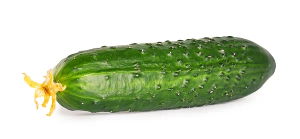 Verse Groene Komkommer Geïsoleerd Witte Achtergrond — Stockfoto