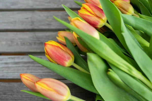 Čerstvé Pestrobarevné Tulipány Den Matek Šedých Dřevěných Prknech Jarní Kytice — Stock fotografie