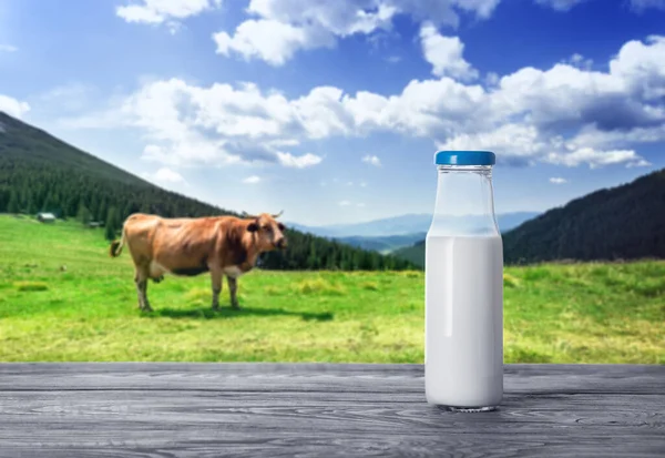 Bouteille Lait Avec Une Vache Dans Alpage Concept Produit Naturel — Photo