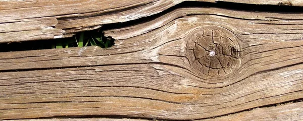 Ancienne Texture Planche Bois — Photo