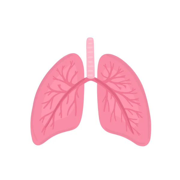 Vector Healthy Human Lungs Illustration Label Advertisement Pulmonary Medicine Poster — Stock Photo, Image