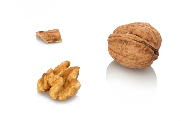 Walnut Nut Nutshell Close White Isolated — Stock Photo, Image