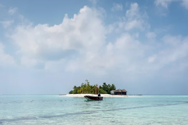 Красивий Тропічний Пляж Кокосовою Пальмою Фоні Блакитного Неба — стокове фото