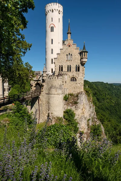 Castelo Grande Cidade Europeia Norte Estado Paisagem Mais Bonita — Fotografia de Stock