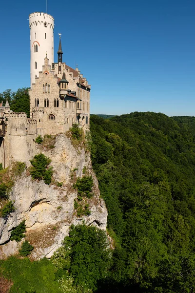 Castillo Hadas Sobre Una Roca Rodeada Bosque Formato Vertical — Foto de Stock