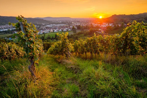 Beautiful Sunset River — Stock Photo, Image