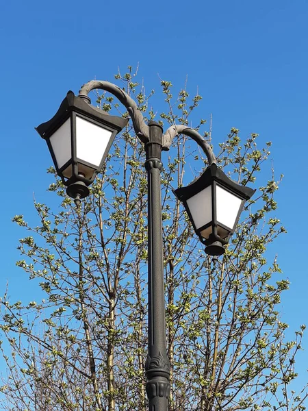 Street Lampa Mot Bakgrund Blommande Våren Träd Och Blå Himmel — Stockfoto