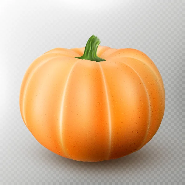 Realistic Macro Orange Pumpkin Isolated Transparent Background Eps Vector File — Stock Photo, Image