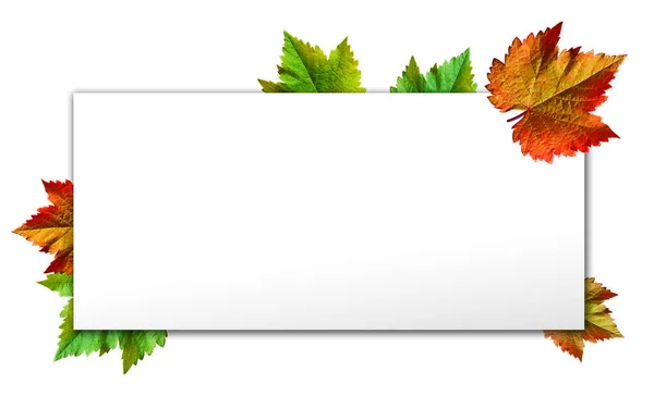 Happy Thanksgiving Text Greeting Autumn Leaves Photo Grapes Green Leaves — Stock Photo, Image