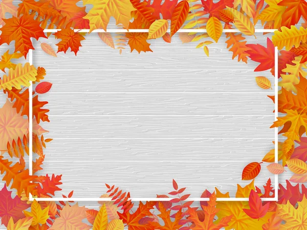 Autumn Sale Background Layout Frame Leaves Shopping Sale Promo Poster — Stock Photo, Image