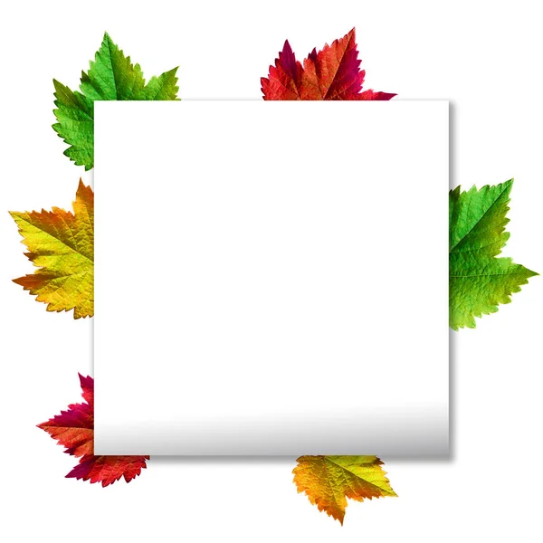 Happy Thanksgiving Text Greeting Autumn Leaves Photo Grapes Green Leaves — Stock Photo, Image