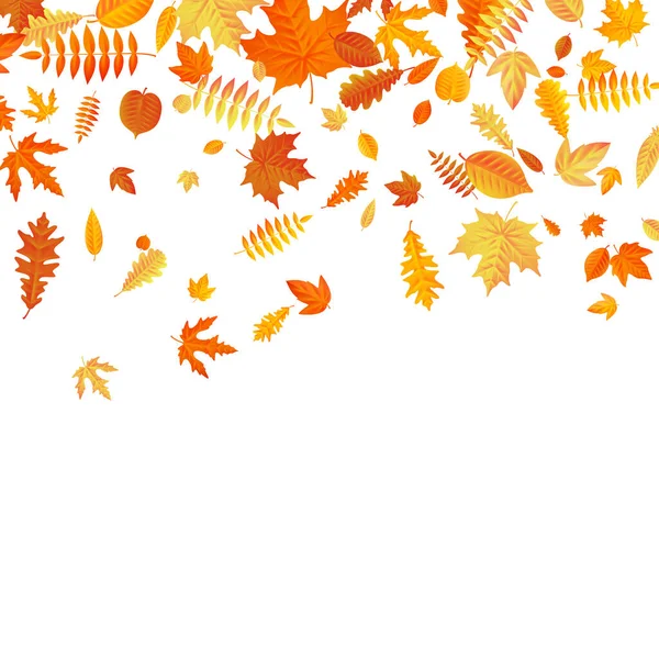 Orange Und Gelb Fallende Herbstblätter Vorlage Eps Vektordatei Enthalten — Stockfoto