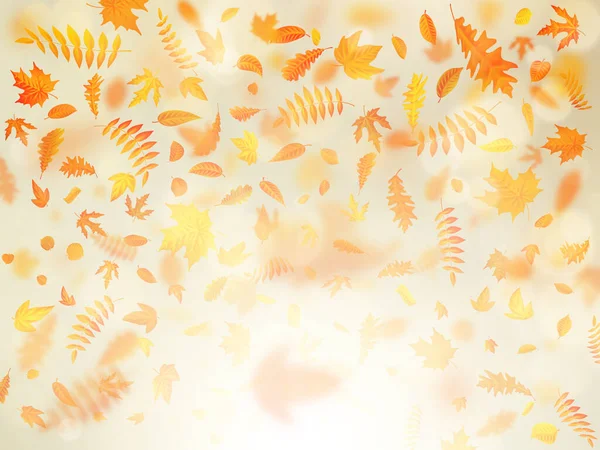 Piękne Tło Jesień Klon Liści Jesienią Delikatne Słońce Plik Wektorowy — Zdjęcie stockowe