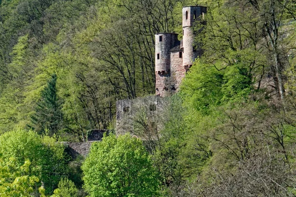 Malowniczy Widok Majestatycznej Średniowiecznej Architektury Zamku — Zdjęcie stockowe