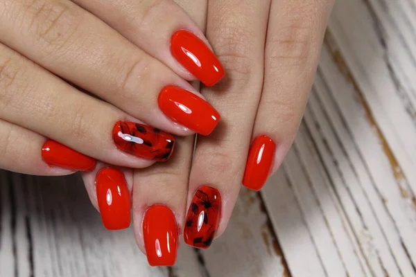 Mooie Vrouwelijke Handen Met Rode Manicure Een Witte Achtergrond — Stockfoto