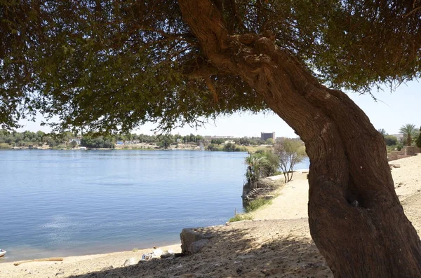 Hermosa Vista Del Lago Parque —  Fotos de Stock