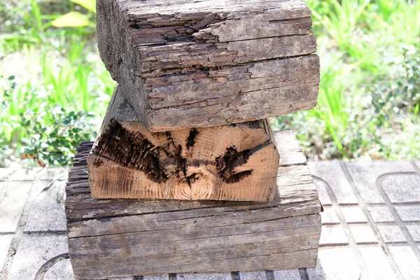 Stare Drewniane Kłody Lesie — Zdjęcie stockowe