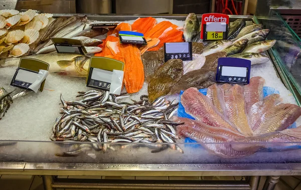 Italiaanse Vismarkt Met Veel Verschillende Verse Vissen Ligurië Mullet Dorado — Stockfoto