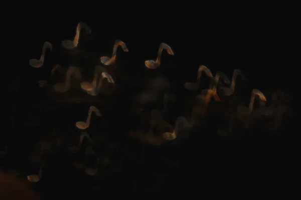 Abstrakter Hintergrund Glühender Teilchen Und Linien Fraktale Kunst Schwarz Weiß — Stockfoto