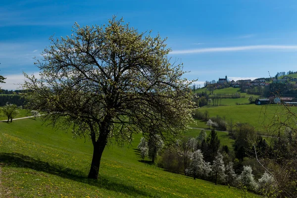 Schöner Blick Auf Die Stadt — Stockfoto