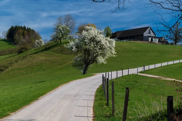 Ländliche Landschaft Mit Einer Straße Auf Dem Land — Stockfoto