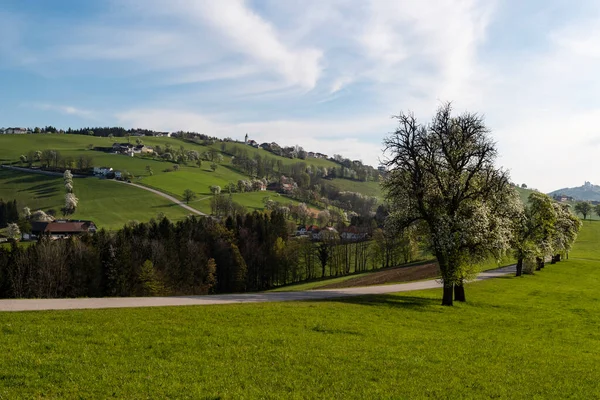Vackert Landskap Med Gröna Träd Och Blå Himmel — Stockfoto