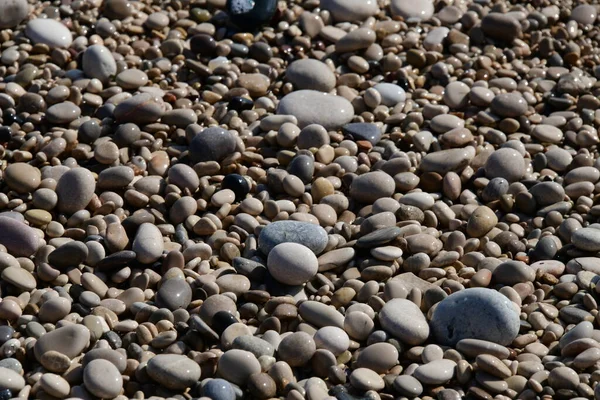 Sassi Ghiaia Sulla Spiaggia — Foto Stock