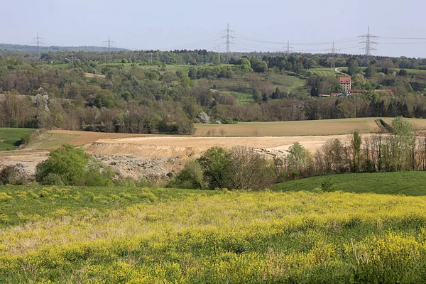 Venkovská Krajina Zelenými Poli Stromy — Stock fotografie