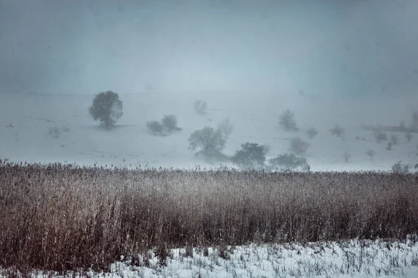 Winter Landscape Snow Covered Trees — Stock Photo, Image