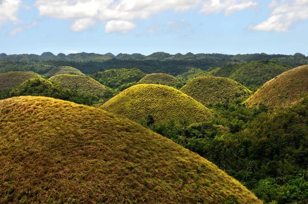 Hermosa Vista Del Bosque Las Montañas — Foto de Stock