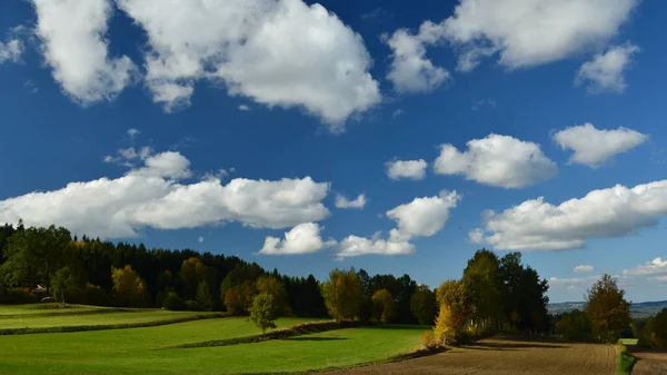 Wunderschöne Landschaft Mit Bäumen Und Blauem Himmel — Stockfoto