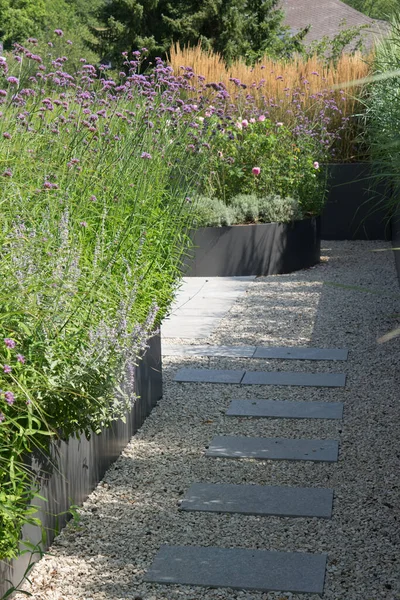 Architecture Jardin Moderne Avec Herbes Herbe — Photo