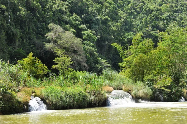 Bela Paisagem Com Rio Floresta — Fotografia de Stock