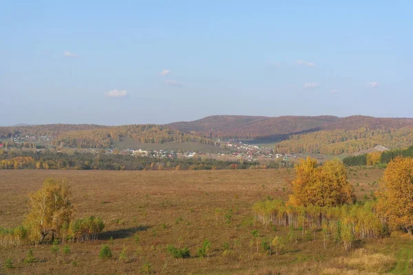 Herfst Landschap Met Bomen Groen Gras — Stockfoto