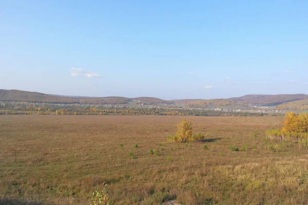 Schöne Landschaft Mit Einem Feld Von Bäumen — Stockfoto