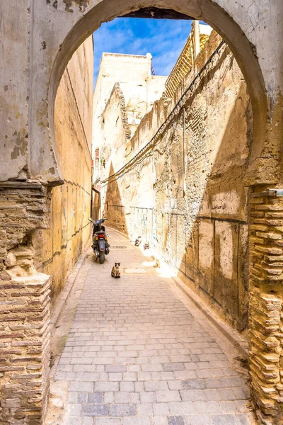 Antica Medina Fez Marocco — Foto Stock