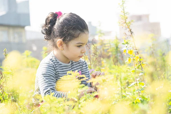Liten Flicka Vår Gula Blommor Fält Naturliga Våren Landskap — Stockfoto