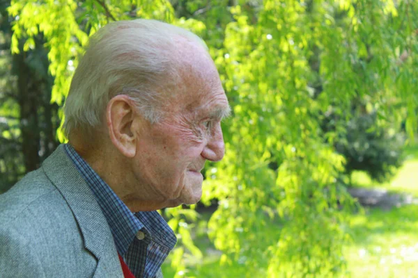 Portrait Aîné Réfléchi Ans Dans Nature — Photo