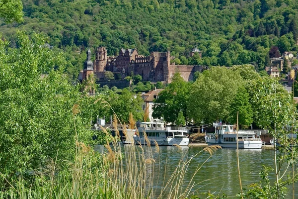 Vue Sur Château Rivière Dans Ville État Beau Paysage — Photo